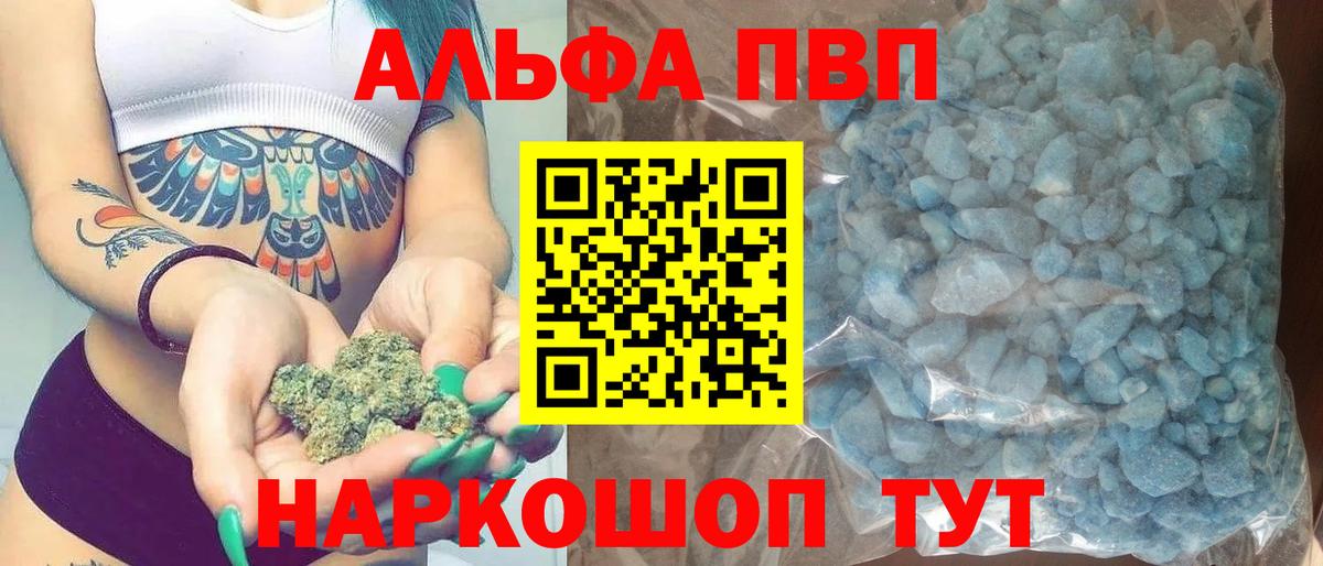A PVP СК Новокузнецк
