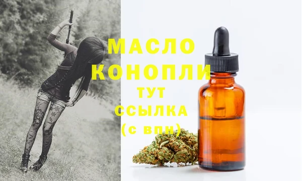 дживик Новодвинск