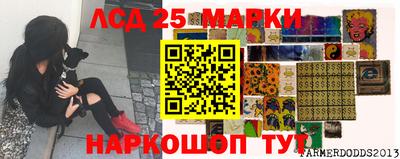 хмурый Гусь-Хрустальный
