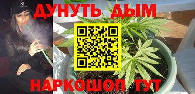 apvp Гусев