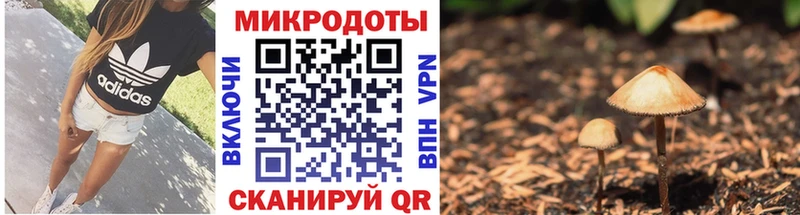 кракен tor Новокузнецк Галлюциногенные грибы Cubensis