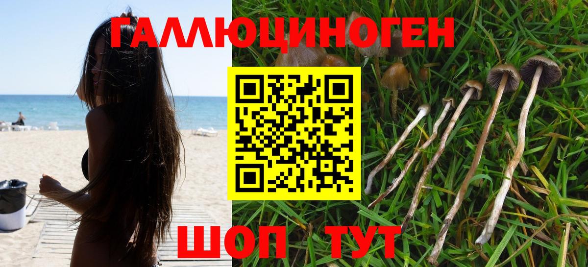 Псилоцибиновые грибы прущие грибы  Вход с VPN  Новокузнецк  Галлюциногенные грибы MAGIC MUSHROOMS 