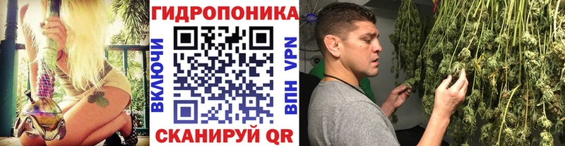 kraken зеркало  Новокузнецк  Каннабис Bruce Banner 
